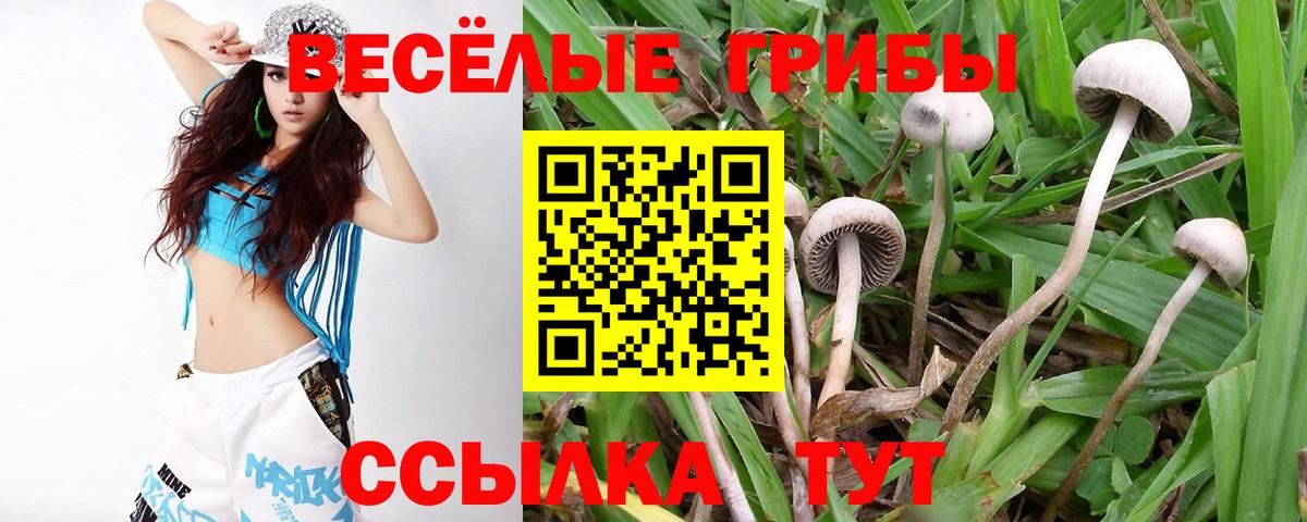 Луховицы  Галлюциногенные грибы ЛСД  Галлюциногенные грибы Magic Shrooms  Вход с VPN 